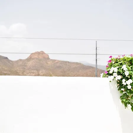 Neon Tenerife ゲストハウス Guaza