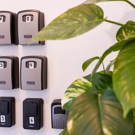 Gasthuis Neon Tenerife