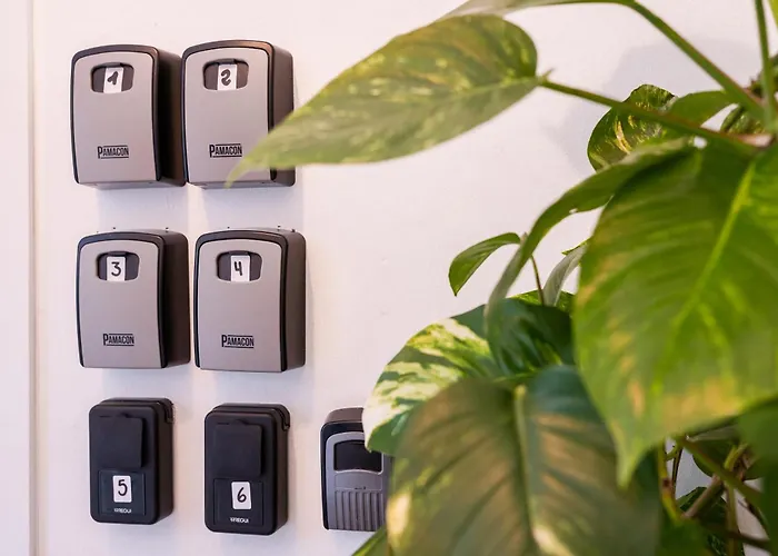 Πανσιόν Neon Tenerife